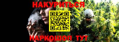 дживик Лесосибирск