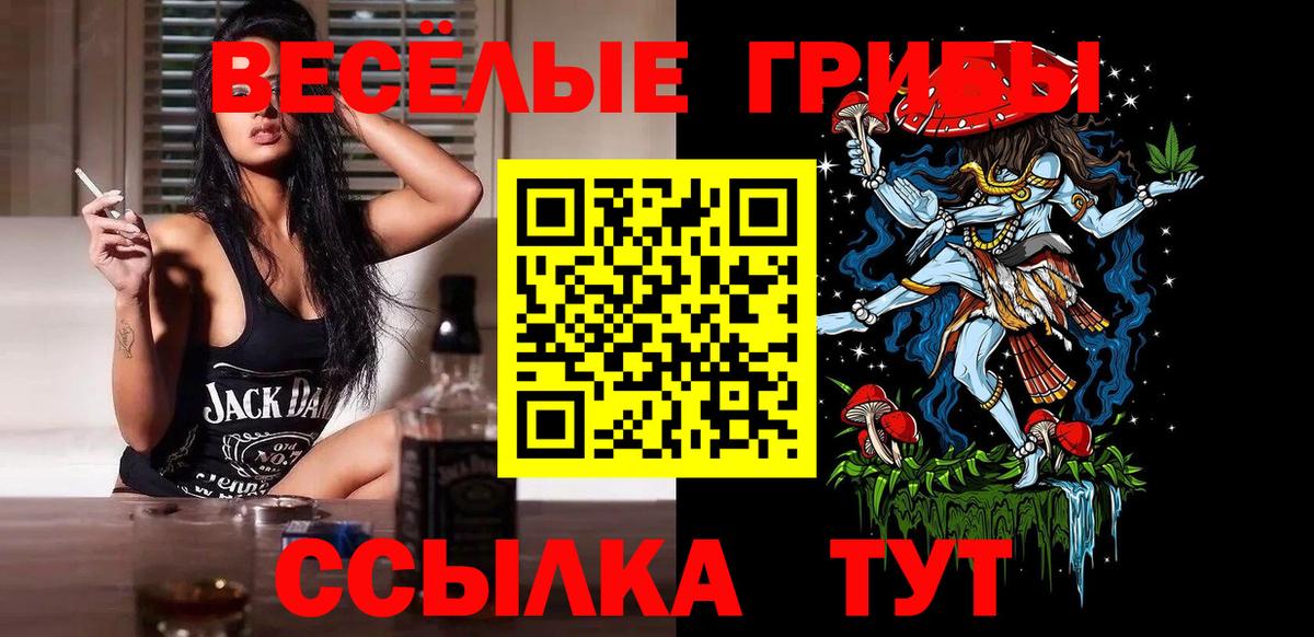 Домодедово  Псилоцибиновые грибы ЛСД  даркнет сайт  Вход с VPN  Галлюциногенные грибы ЛСД 
